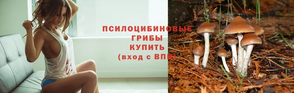 COCAINE Богородск