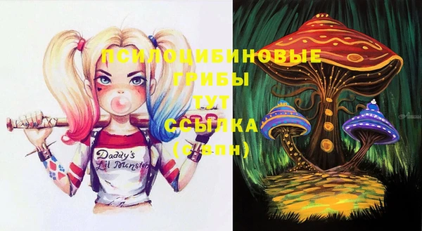 мдпв Богородицк