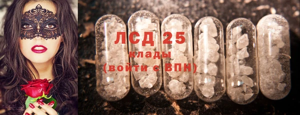мдпв Богородицк