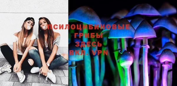 мдпв Богородицк