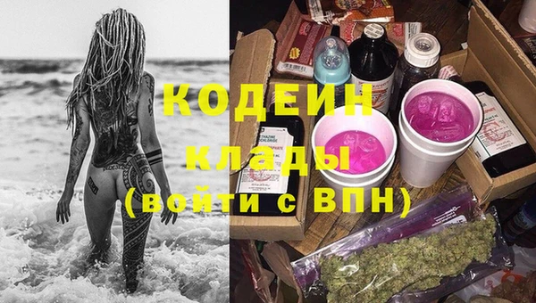 мдпв Богородицк