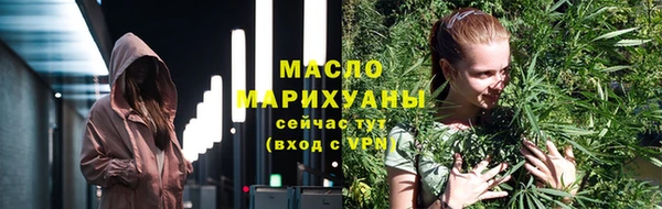 мдпв Богородицк