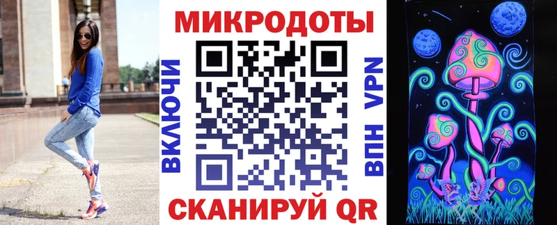 Галлюциногенные грибы мухоморы  купить закладку  Каменка 